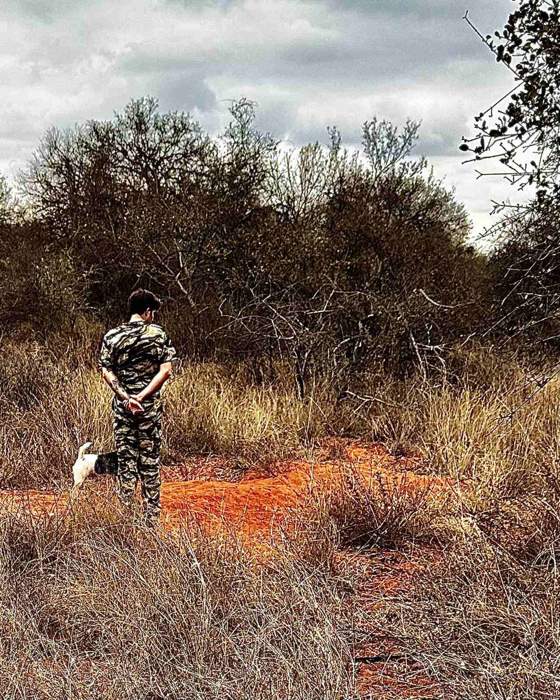Hunter in camouflage with a dog on lead examining a red dirt mound in dry bush country under an overcast sky, scouting for sign.