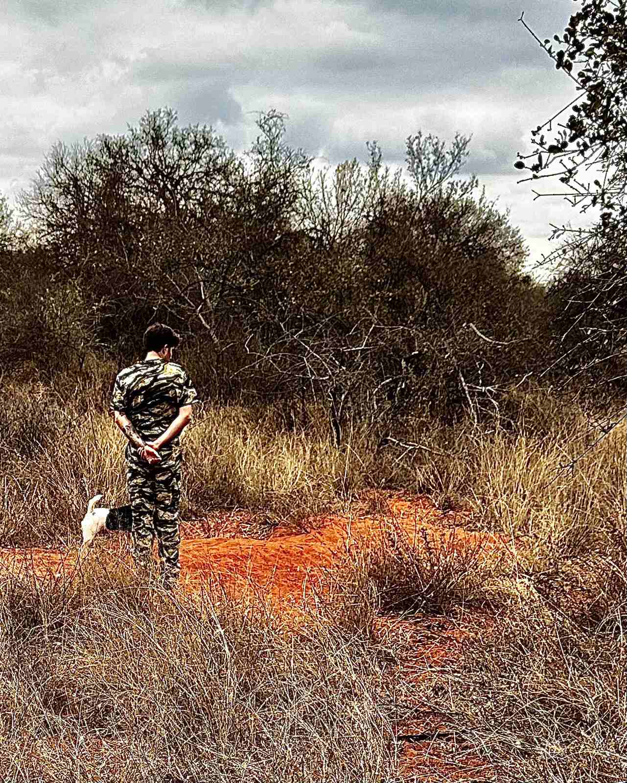 Hunter in camouflage with a dog on lead examining a red dirt mound in dry bush country under an overcast sky, scouting for sign.