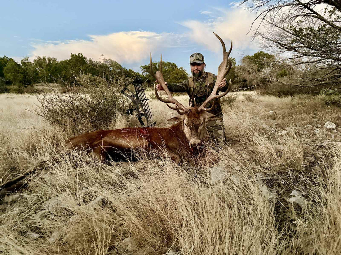 Bowhunter kneeling behind a harvested red stag with large antlers in dry grassland, compound bow resting nearby, Texas Hill Country landscape under a blue sky.