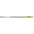 Easton X10 Parallel Pro 4mm Arrows